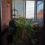 Rab Centar Due Apartment *