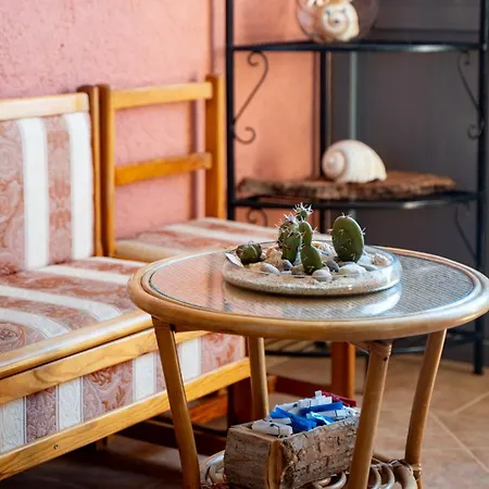 Rab Centar Due * Palit