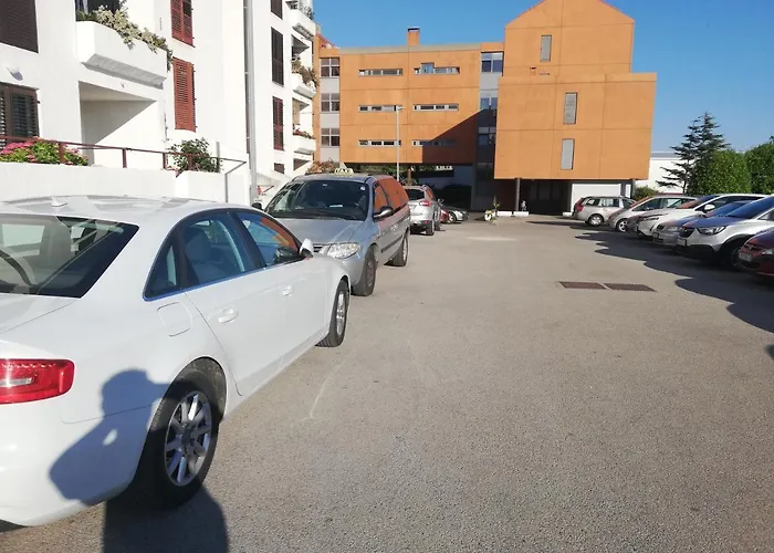 Rab Centar Due * New Translation